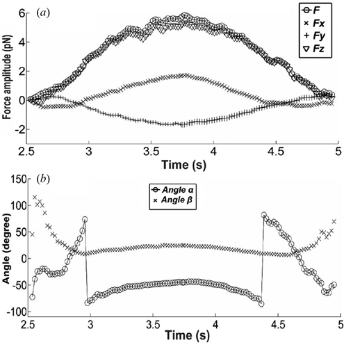 Figure 4. Force excursion vs time during the vertical indentation. (a) Total force F and force components: Fx, Fy and Fz; (b) The orientation of the total force F: angle α and angle β (angles defined in Figure 1).