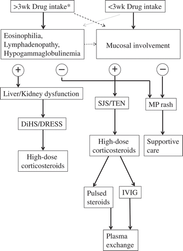 Figure 2. Algorithm for prediction, diagnosis and treatment of patients suspected of having MP rash, SJS/TEN or DiHS/DRESS. MP, maculopapular; IVIG, high-dose intravenous immunoglobulin pulsed corticosteroids, IVIG and plasma exchange are of benefit for the treatment of SJS/TEN, but not DiHS/DRESS.