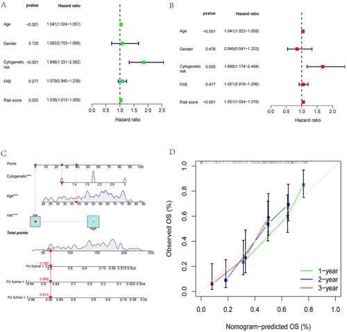 Figure 5. Independent prognostic analysis and construction of a nomogram. Age, cytogenetic risk, and risk score were proven to be independent risk factors for AML by univariate(A) and multivariate(B) regression analyses. Construction and assessment of the nomogram. (C) Nomogram constructed by incorporating the risk score and the clinical characteristics of patients, including age, and cytogenetic risk, to predict the 1-year, 2-year, and 3-year OS of AML patients. (D) Calibration curves for 1-, 2-, and 3-year predictions were in the vicinity of the observed actual survival curve, indicating the better predictive ability of the nomogram.