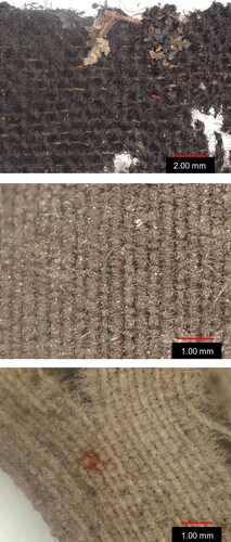 FIG. 18 Textile identification: high-definition images of tabby coffin covering for V2E (top), velvet covering for V4A (Middle), selvedge of interior textile from child coffin V4E (bottom); (photos by S. Hitchens).