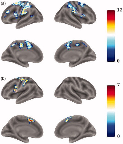 Figure 3. Activation maps for PA-PN and NA-NR. Activations for PA-PN (a) were located bilaterally. Activations for NA-NR (b) were located mostly in the left hemisphere. The activated regions for NA-NR were subsets of those for PA-PN.