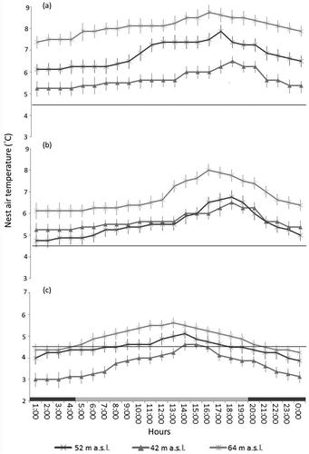Figure 2. Mean ± SD nest temperatures in the 24 hr cycle (mean value from three loggers for a three-day period) in three nests (different altitude) in (a) phase 1 (20 July–2 August), (b) phase 2 (5–8 August) of chick rearing and (c) during the post-breeding period (25–27 August). The thermoneutral zone of little auks (4.5°C; Gabrielsen et al. Citation1991) is shown by the horizontal black line. The “day” and “night” hours are shown at the bottom of the graph by the horizontal light and dark grey bars, respectively.