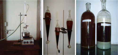 Figure 1 Transesterification set-up showing different stages of biodiesel production.