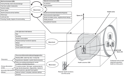 Figure 1. Gene, environment and the corresponding urban health niche for cardiovascular disease.