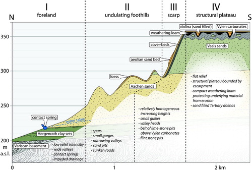 Figure 1. Simplified cross section of the northern part of study area from the foreland toward the plateau (7× vertical exaggeration).