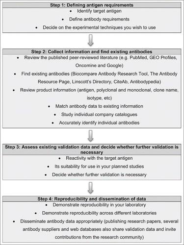 Figure 1. Overview of the fundamental principles involved underlying effective antigen design, antibody selection and validation. A step-by-step guide to defining the target antigen, identifying relevant existing antibodies and their specificity to the accurate dissemination of data arising from their use.