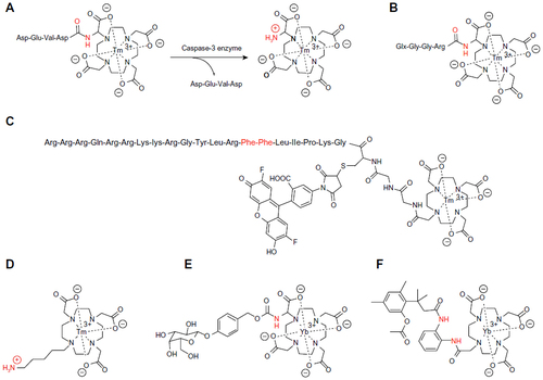 Figure 2 ParaCEST agents that detect enzyme activity.