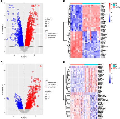 Figure 2. Differentially expressed gene identification. A, B from GSE15072, C, D from GSE66360. The volcano plots (A, C) show that 4221 and 1352 DEGs were identified from the two datasets, and the heatmaps (B, D) show the top 20 up and downregulated genes, respectively. Upregulated genes are in light red; downregulated genes are in light blue.