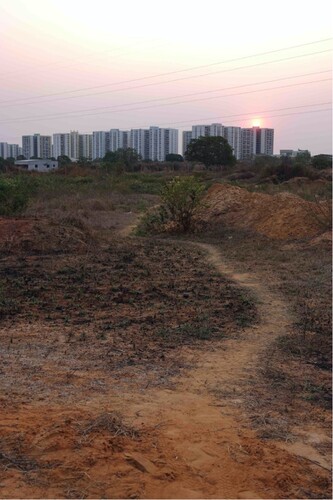 Figure 3. Periphery path to Kilamba. Photo by Jia-Ching Chen (2018).