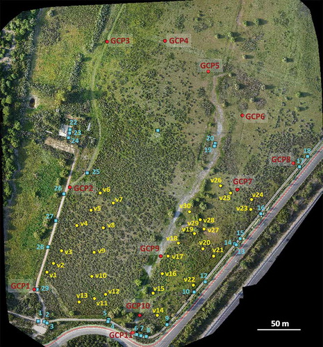 Figure 6. Position of GCP and checkpoints on the studied area. Red dots are GCP, blue square are checkpoints for geometric validation and yellow dots are checkpoints to evaluate the error of the DTM in the areas occupied by vegetation.