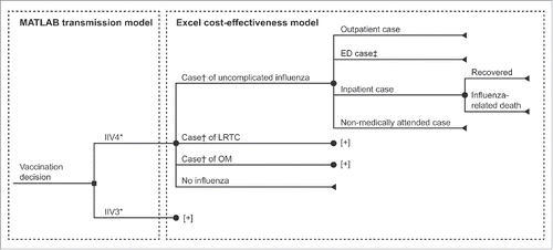 Figure 1. Simplified model structure for cost-effectiveness of IIV4 versus IIV3 (the full structure can be found in Thommes et al.Citation22). *A proportion of individuals were vaccinated with either IIV3 or IIV4 according to the vaccine coverage parameters shown in Figure. 2. †Case of influenza type A or B. ‡ED cases were set to zero due to a lack of robust data. [+] indicates clinical pathway is the same as above. ED, emergency department; IIV3, trivalent inactivated influenza vaccine; IIV4, quadrivalent inactivated influenza vaccine; LRTC, lower respiratory tract complication; OM, otitis media.