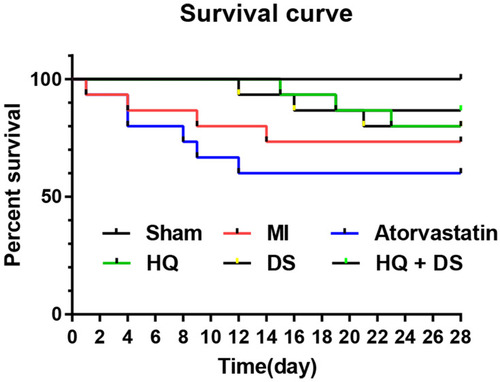 Figure 8 The survival rate of rats in the various treatment groups. The survival rate of the different treatment groups was analyzed by the Kaplan–Meier method using GraphPad Prism 6.0 software. The values of the x-axis represent time (0–28 days). The values of the y-axis represent percent survival (0–100%).