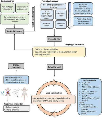 Figure 1 General framework for the discovery and validation of novel compounds for the treatment of Chagas disease.