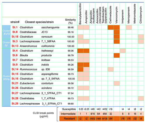 Figure 1. Antibiotic sensitivity of the 17 strains. The closest known species/strains for each of the 17 strains are shown. Antibiotic sensitivities are categorized as susceptible (white), intermediate (light orange) or resistant (dark orange). Antimicrobial susceptibility testing was performed using the broth microdilution method with dry plates (Eiken Chemical, Japan) according to the Clinical and Laboratory Standards institute (CLSI) guidelines M11-A8 and M100-S23. Briefly, each strain grown on Eggerth-Gagnon agar was harvested and suspended in ABCM broth (Eiken Chemical, Tokyo, Japan). The number of colony-forming units (CFU) was adjusted to 1 × 105 CFU/mL and an aliquot (100 μL) of the suspension was inoculated into each well of the plates. After incubation at 37 °C for 48 h, bacterial growth was visually assessed to determine the minimal inhibitory concentrations (MICs). The Etest (Sysmex-bioMérieux, Japan) was also employed to test for susceptibility to metronidazole and vancomycin.