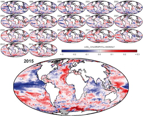 Figure 17. Annual anomalies in chlorophyll from 1998 to 2015 (see text for details on data use). Anomalies were computed by calculating annual averages (from monthly composites) then subtracting the average of all 18 years from each year. Computations were done in log10-space, considering the typical distribution of chlorophyll concentration (Campbell Citation1995).