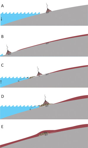 Figure 13. (A) Last part of early Holocene regression, 10,500–11,000 BP (Phase 1). Small groups of foragers. Flint artifacts (F) are deposited. (B) Early Holocene regression minimum, 9500–10,000 BP. Organic soil covers the flint artifacts. Most likely the first use of greenstone (G). (C) Mid-Holocene transgression approximately 8000 BP (beginning of Phase 2). People move to higher ground as the water level is rising. Greenstone is deposited and washed inland. The peat cover is eroded, and the sandy layer (Unit II) is deposited and eroded. (D) Transgression maximum, 7000 BP (Phase 2). Greenstone is still washed inland. Occupation takes place on top of the ridge. A matrix of reworked and not-reworked greenstone is accumulated in the uppermost layers of the ridge. The flint artifacts are well protected by the beach gravel (Unit III). (E) Present situation.