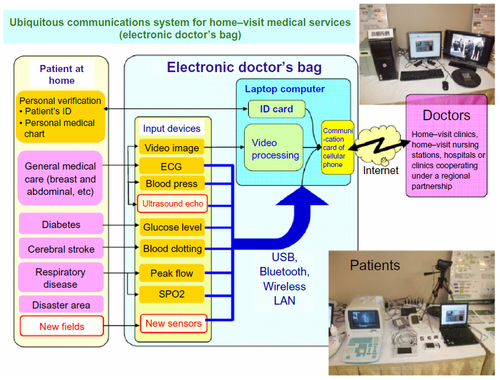 Figure 2 Framework of the “electronic doctor’s bag.”