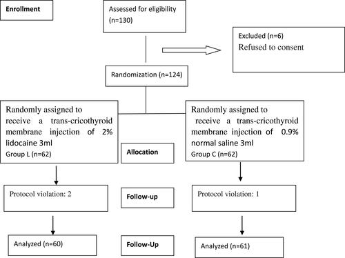 Figure 1 Consolidated Standards of Reporting Trials (CONSORT) flow diagram of the patients included in the study.