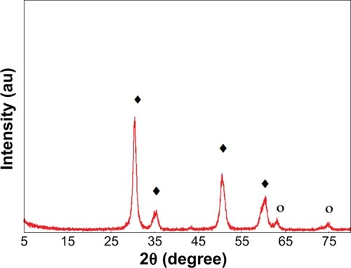 Figure 4 X-ray diffraction patterns of sulphated zirconia calcined at 600°C for 3 hours.Notes: ○, monoclinic phase; ♦, tetragonal phase of zirconia.