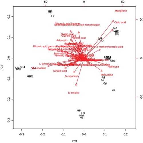 Figure 4. Biplot generated from PCA showing important contributory metabolites for varietal segregation.