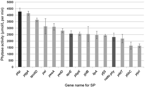 Fig. 4. Comparison of the secreted phytase activities with various SP fusions.Notes: The phytase levels secreted by strains TSU002 (aprE; dark gray bar), TSU003 (natto phy; dark gray bar), TSU004 (pbp; black bar), TSU005 (yqgA; light gray bar), and the other selected clones (their SPs were derived from the gene as indicated; light gray bars) were measured 3 times independently. The values shown represent the mean ± SD.