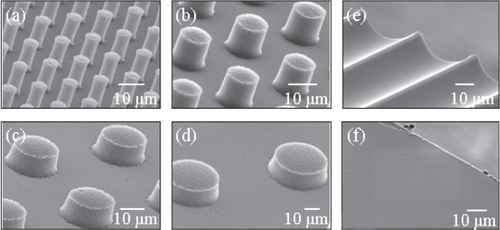 Figure 4 Scanning electron microscope (SEM) images of POSTS that are 7–10 μm high, (a) 5 μm, (b) 10 μm, (c) 20 μm, and (d) 40 μm diameter, with the same separation distance between the posts; (e) CHANNELS that are 11 μm high and 45 μm wide; and (f) SMOOTH substrates.