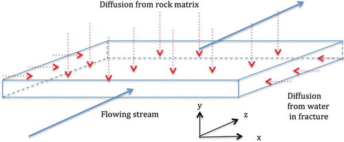 Fig. 5. The flowing stream with low concentration takes up salt from water in the fracture and from the surrounding porous rock matrix with higher salt concentration.