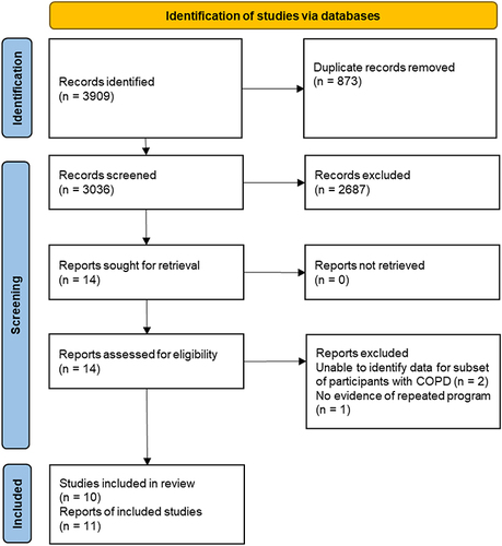 Figure 1 PRISMA flow diagram.