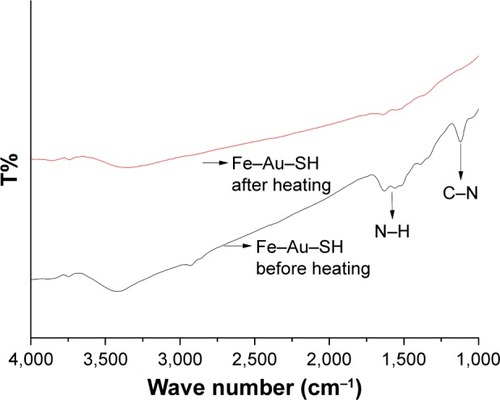 Figure 5 FTIR spectrum demonstrating the mechanism of MTX release from NFA–MTX conjugate.Note: NFAs were functionalized with SH before and after being subjected to AMF.Abbreviations: FTIR, Fourier-transform infrared spectroscopy; MTX, methotrexate; NFA, Fe–Au alloy nanoparticles; AMF, applied magnetic field.