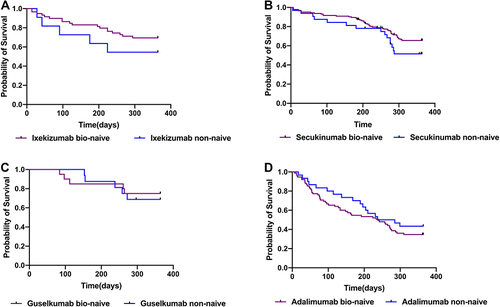 Figure 2 Comparison of drug survival bio-naïve and non-naive among four biological agents. Bio-naïve patients had a higher drug survival trend than non-naïve patients in the ixekizumab (A), secukinumab (B), and guselkumab (C) groups, these differences were not significant. (D) No trend towards increased drug survival among bio-naïve adalimumab patients was observed.