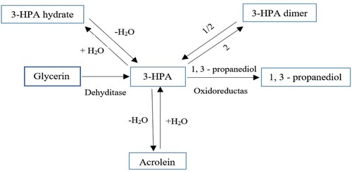 Figure 11. Use of enzymes in the production of 3-HPA and application of this intermediate in the preparation of other chemicals.