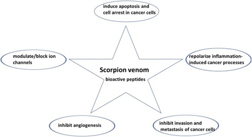 Figure 1 The multi-pharmacological actions of scorpion venom bioactive peptides on cancer cells.