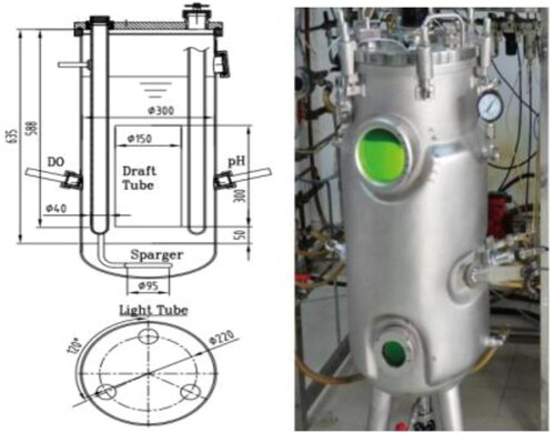 Figure 1. Schematic diagram of the 50 L enclosed airlift photo-bioreactor. Left: Schematic diagram; Right: Image of photo-bioreactor.