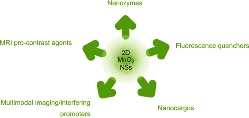 Figure 3 Schematic illustration of the diverse roles MnO2 NSs have played in the field of biomedicine.