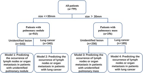 Figure 1 Overall study design. Firstly, all patients were divided into nodule group and mass group according to the size of the lesion; secondly, patients were divided into unidentified lesions group (before pathological confirmation) and lung cancer group (after pathological confirmation).