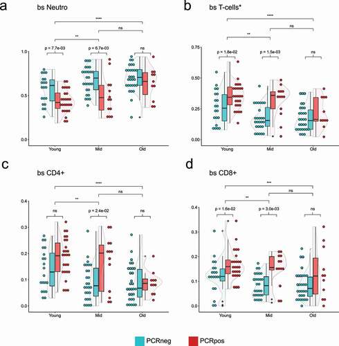 Figure 3. Violin plots showing the distribution of 5meC-calculated neutrophils (a), T-cells (b, sum of CD4+, and CD8+), CD4 + T cells (c), CD8 + T cells (d) in three different age groups split by the PCR positivity test. Teal: PCR test negative; red: PCR test positive. Wilcoxon rank sum test was used to compare the means. Top bars are comparing age groups (ns = p-val >0.05; * = p-val <0.05; ** = p-val <0.01; *** = p-val <0.001; **** = p-val <0.0001), while the bottom bars are comparing PCR positive and negative within each group (ns = p-val >0.05; if the p-val <0.05, the value is indicated).