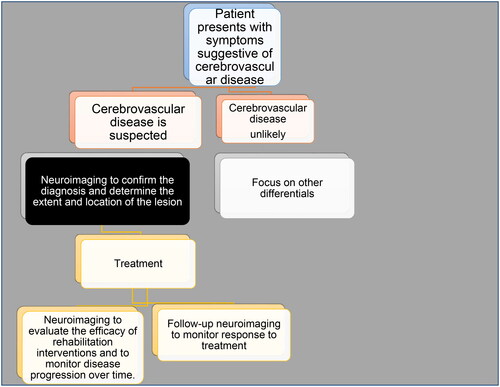 Figure 1. Diagnostic process for cerebrovascular disease in Africa with neuroimaging.