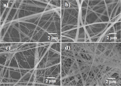 Figure 2. SEM morphology of the outer layer of the artificial blood vessel: chitosan (a), PLGA (b), PLGA–chitosan (c) and cro-PLGA–chitosan scaffolds (d).