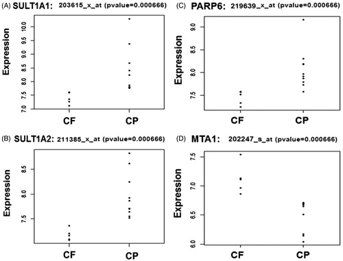 Figure 3. Differential expression levels in the CF enhancement pattern compared to the CP. (A and B) Our analysis demonstrates an overexpression of SULTs (SULT1A1 and SULT1A2) in the CP enhancement compare to CF. (C) The CP enhancement pattern is associated with higher expression levels of PARP6. (D) MTA1 shows higher expression levels in the CF enhancement pattern compared to the CP.