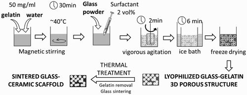 1 Scheme of scaffold preparation