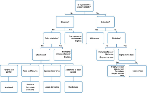 Figure 5 Algorithm for diagnosis of the erythrodermic infant.