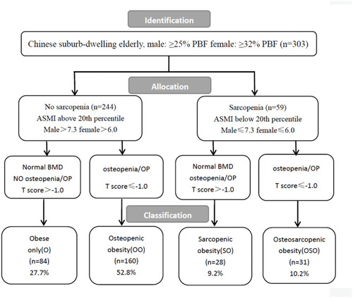 Figure 1 Flowchart showing the steps in identification, allocation, and the classification of participants in to each of the categories: obese only (O), osteopenic obese (OO), sarcopenic obese (SO), and osteosarcopenic obese (OSO) in a population of obese older people.