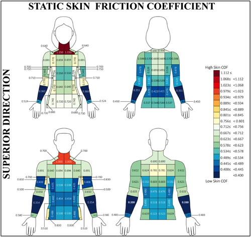Figure 2. The females (n = 11) and males (n = 9) of superior static skin COF distribution across the 36 tested regions. All measurements were taken from the left-hand side of the body assuming symmetry (Claus et al. Citation1987; Meh and Denišlič Citation1994).