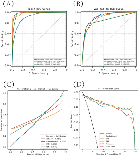 Figure 3 Evaluation of the four models for predicting VTE. (A) ROC curves for the training set of the four models. (B) ROC curves for the validation set of the four models. (C) Calibration plots of the four models. The 45-degree dashed line in each plot represents the ideal correspondence between the predicted (x-axis) and observed (y-axis) probabilities of complications. The closer the distance between the two curves, the higher the predictive accuracy. (D) DCA curves of the four models. The point of intersection between the red curve and the “All” curve represents the baseline or starting point, while the point of intersection between the red curve and the “None” curve indicates the decision node where the corresponding patients may derive benefit.