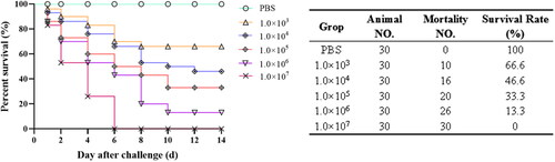 Figure 4. Percentage survival of P. sinensis attacked by different concentrations of Y271.