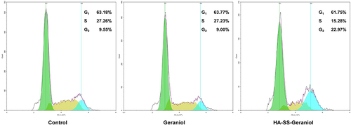 Figure 4 Representative results of cell distribution in PC-3 cells after 2 mM geraniol and HA-SS-geraniol treatments.