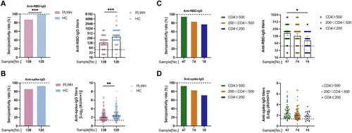 Figure 1. Antibody responses to inactivated vaccines in people living with HIV (PLWH). The seropositivity rate and titers of (A) anti-receptor binding domain (RBD)-IgG and (B) anti-spike-IgG in PLWH and healthy controls. The seropositivity rate and titers of (C) anti-RBD-IgG and (D) anti-spike-IgG in PLWH with different CD4 count levels. The horizontal dotted lines represent the limit of detection.