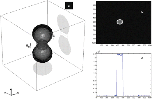 Figure 3. (a) A 3D simulation of the excited volume and corresponding projection images with the MS-SET method. When this tracking method is used during the experiment, applied RF excitation signals are tuned to the equipotential magnetic curves generated by the magnetic signature of the sphere being tracked. The 3D position of the ferromagnetic object is obtained using a correlation function performed on each k-space line of each of the three axes corresponding to the three projections necessary to determine the best possible accurate localization of the sphere within the time constraint required to guarantee stability of the feedback controller. (b) MRI images of the ferromagnetic sphere with the MS-SET method in the transversal plane. (c) Projections of the images in (b) along the readout direction.