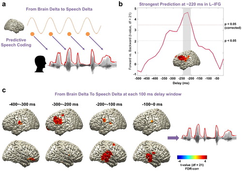 Figure 3. Entrained brain signals predicting upcoming speech. (a) A schematic figure for directed causal analysis: TE from brain delta phase to speech delta phase (negative delays between speech-brain). TE computation was performed for each condition (forward played and backward played) at each voxel from 20 to 500 ms in 20-ms steps and compared statistically between conditions. Orange line represents delta rhythm in the brain and each circle represents a certain point in time. (b) The strongest prediction was found at ∼220 ms in left IFG (upper red line: t21 = 3.53, p < 0.05, corrected; bottom red line: t21 = 2.08, p < 0.05, uncorrected). (c) Statistical contrast maps of averaged across 100 ms windows show a sequence of events that start around −300 ms in fronto-motor areas and then move to right auditory-temporal areas at around −200 ms prior to speech (p < 0.05, FDR-corrected).