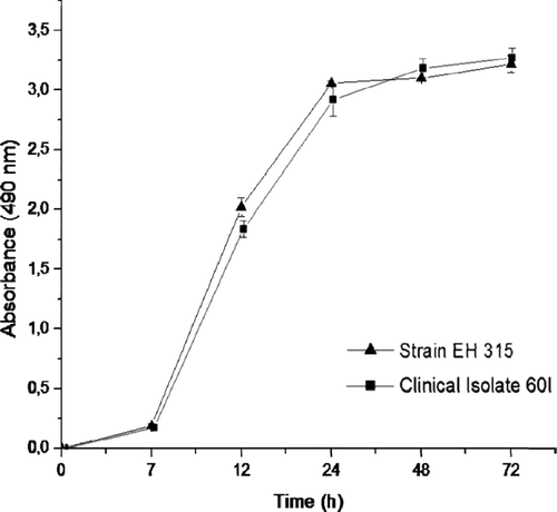 Figure 2. Kinetics of biofilm formation by H. capsulatum on polystyrene microtiter plates. The two H. capsulatum strains were processed by the colorimetric XTT reduction assay as described in Materials and methods. The measurement average data of three XTT assays was considered to generate the figure. The assay was performed twice, with similar results. P values of <0.05 were considered significant.